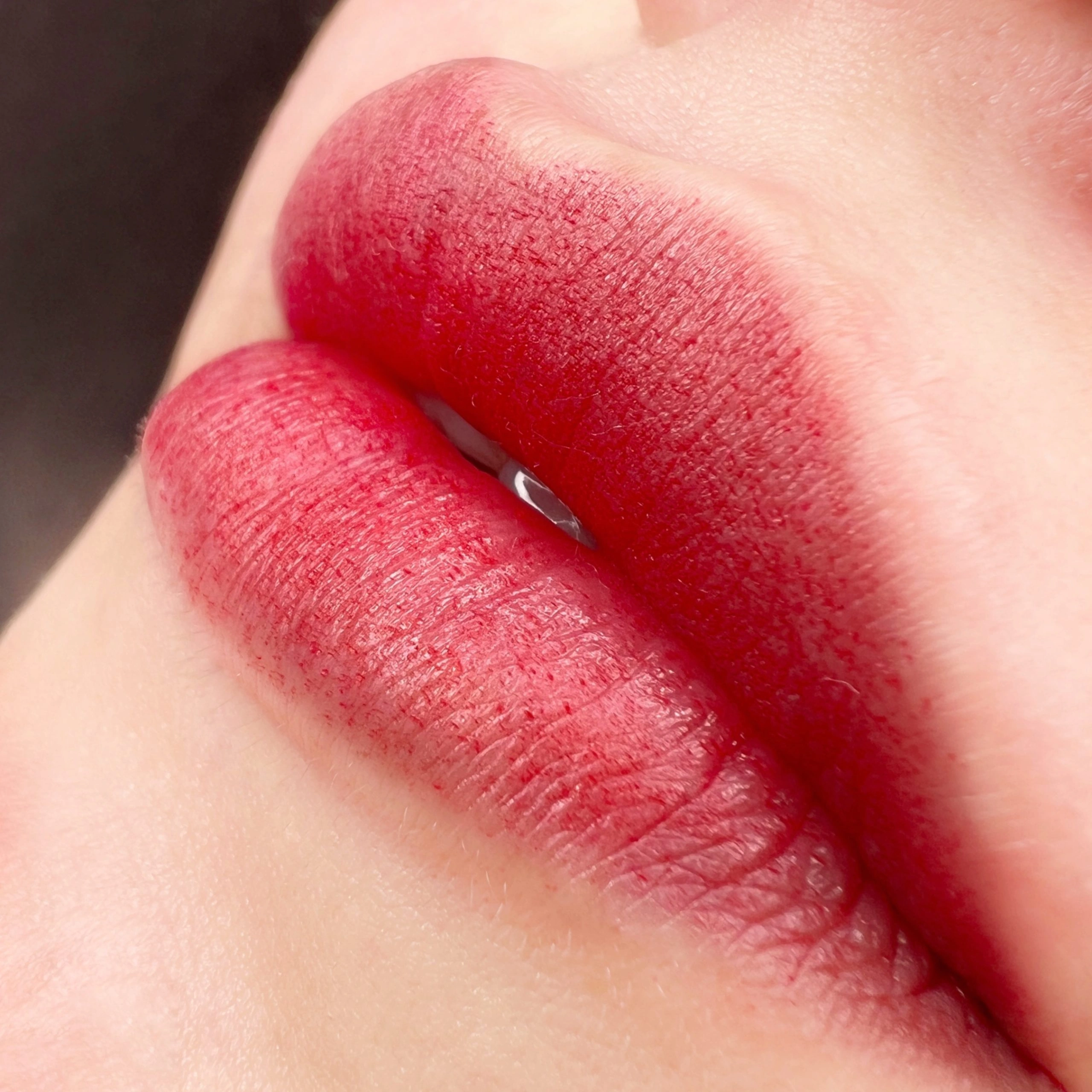 خدمات شیدینگ لب