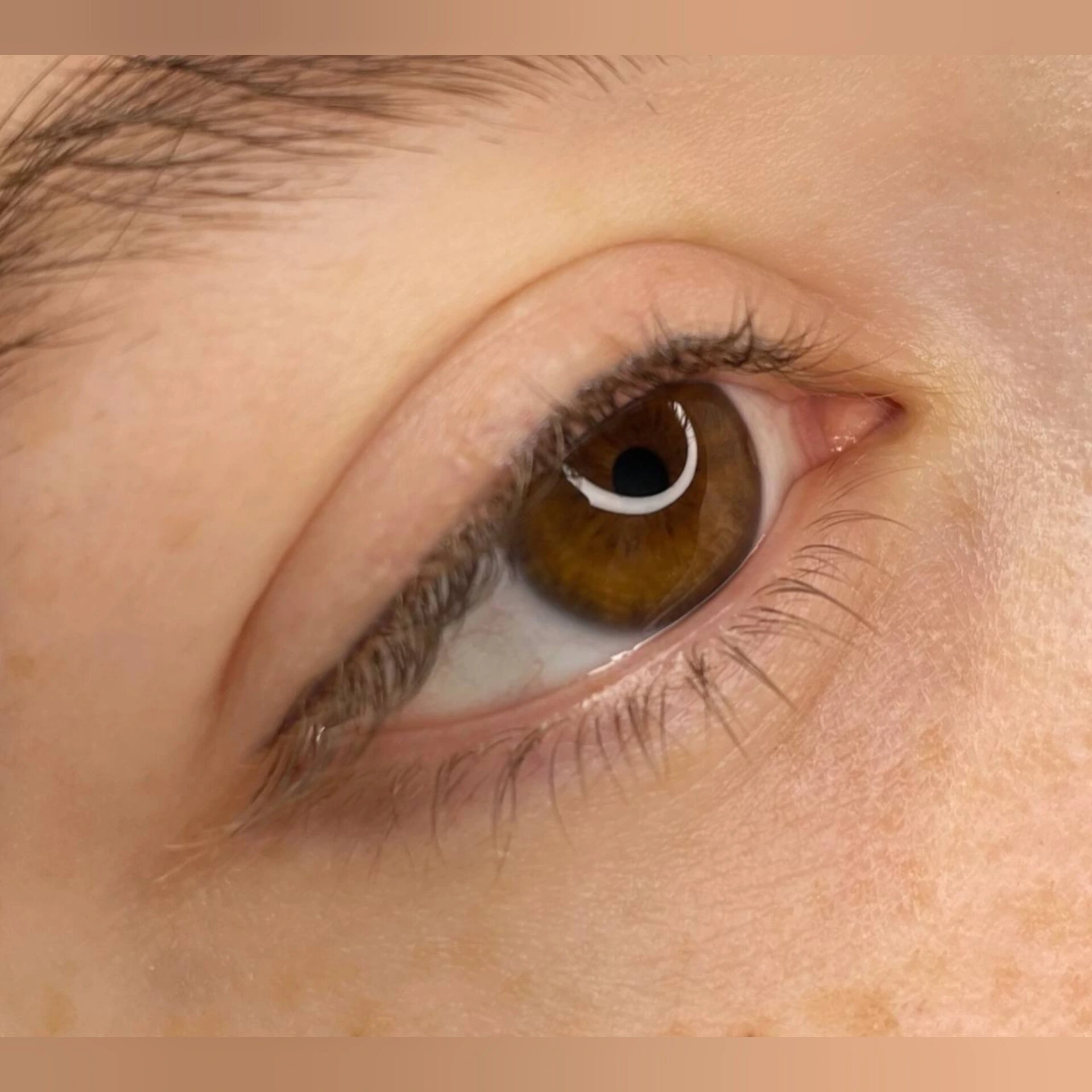 نمونه کار جدید (2)