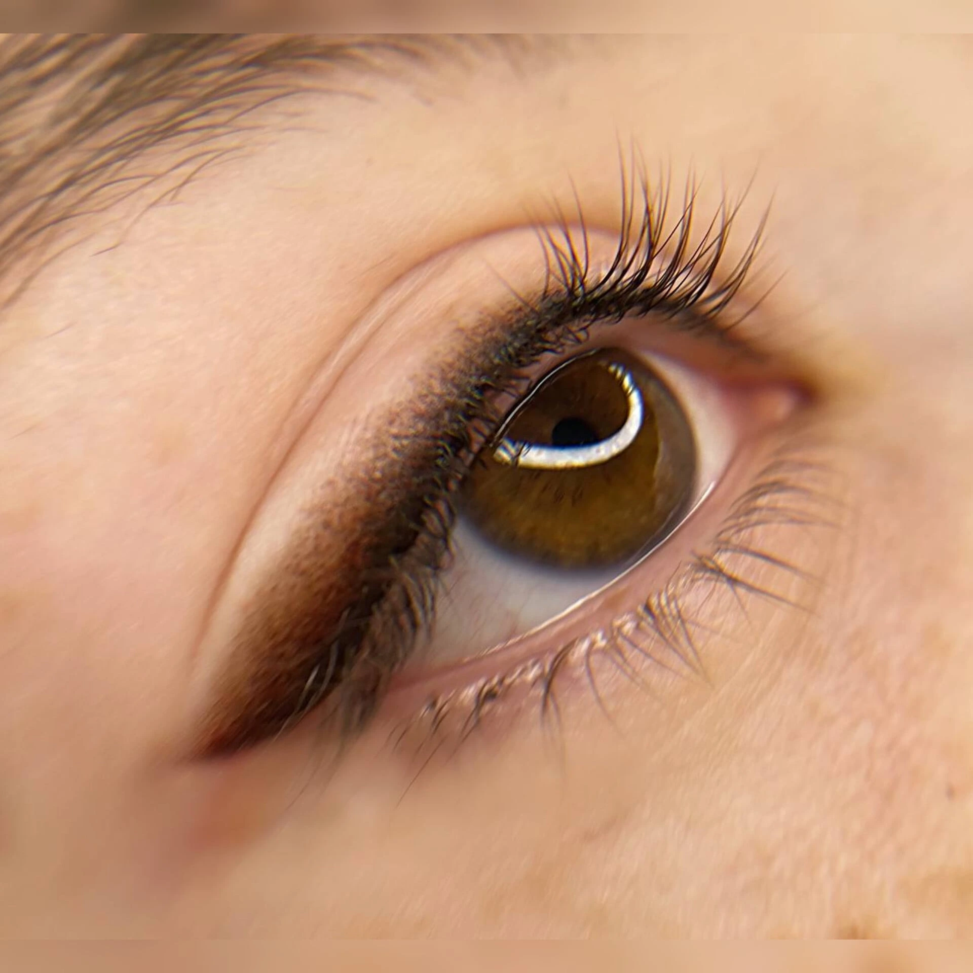 نمونه کار جدید (3)