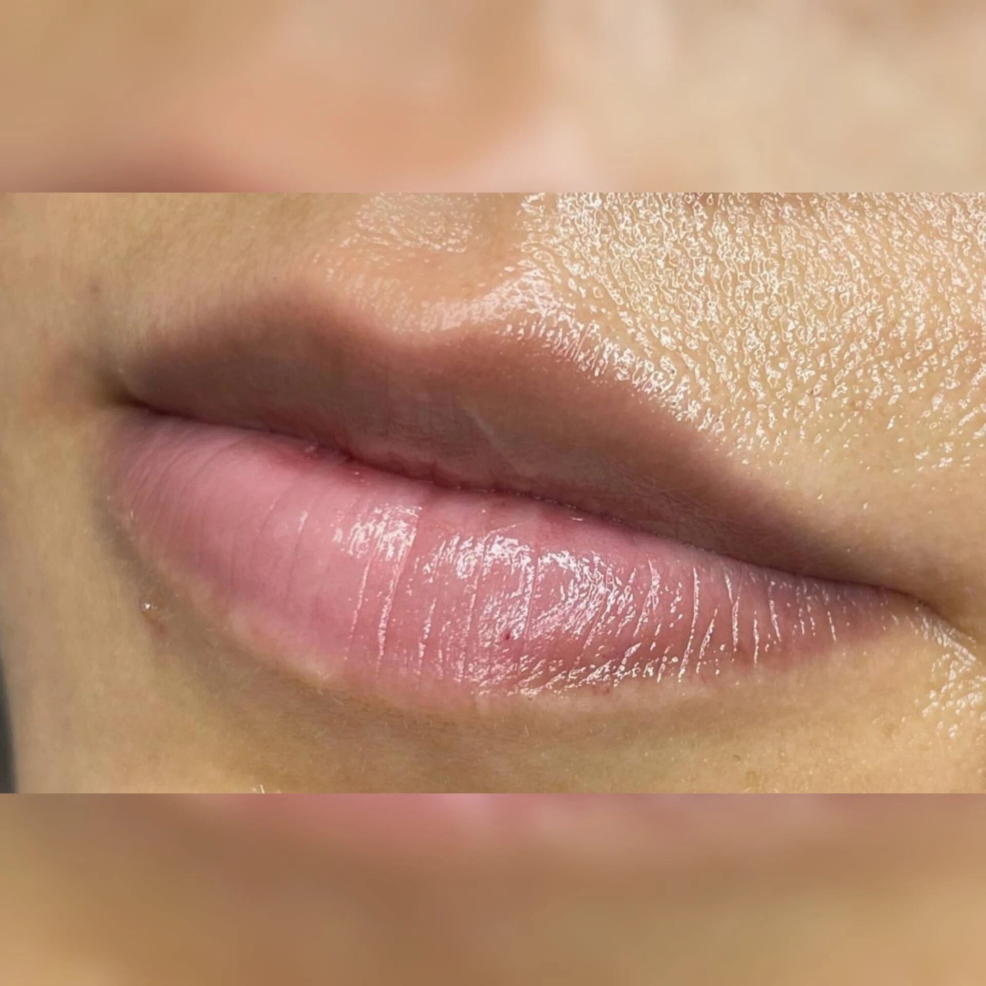 نمونه کار جدید (4)